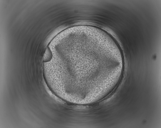 X0000116761049201001071151