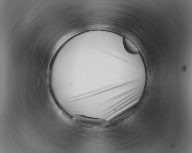 X0000116761050201001071151