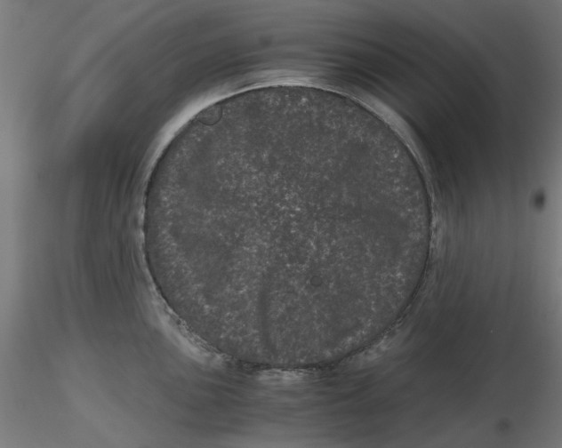 X0000116761051201001071151