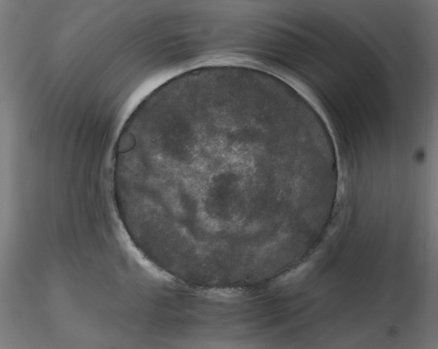 X0000116761053201001071151