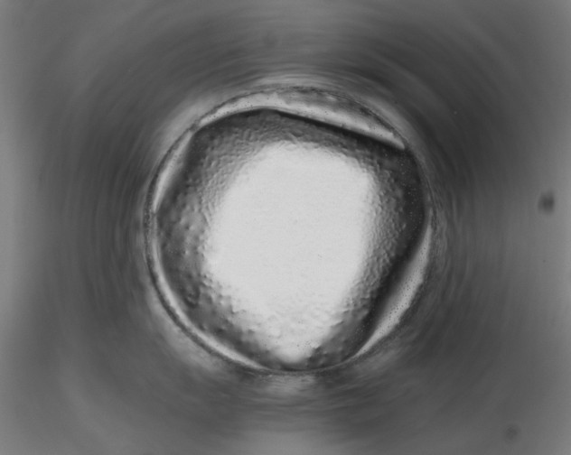 X0000116761055201001071151