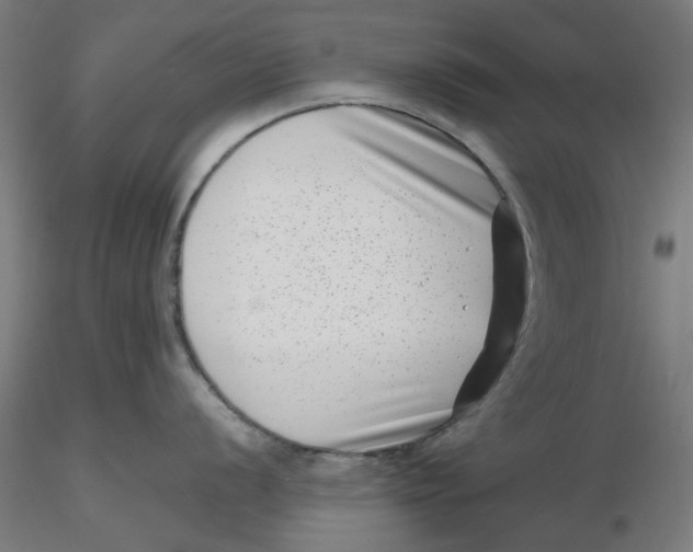 X0000116761056201001071151