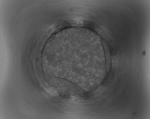 X0000116761057201001071150