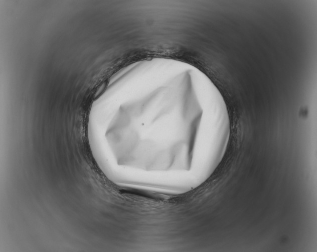 X0000116761058201001071150