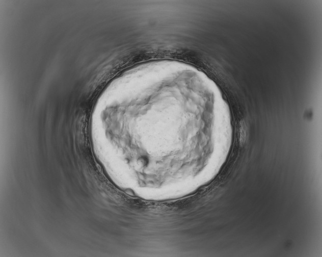 X0000116761059201001071150