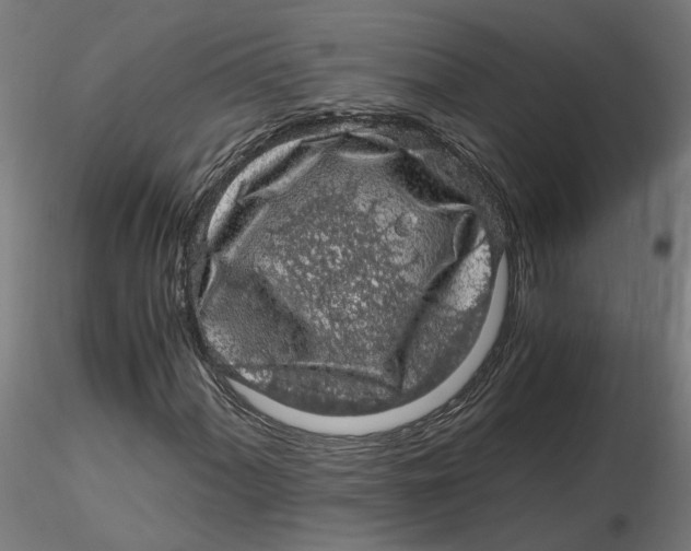 X0000116761060201001071150