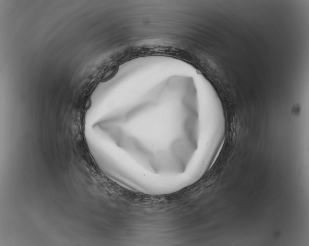 X0000116761062201001071150