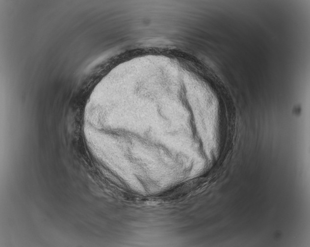 X0000116761063201001071150