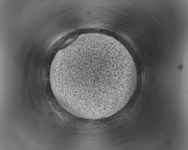 X0000116761064201001071150