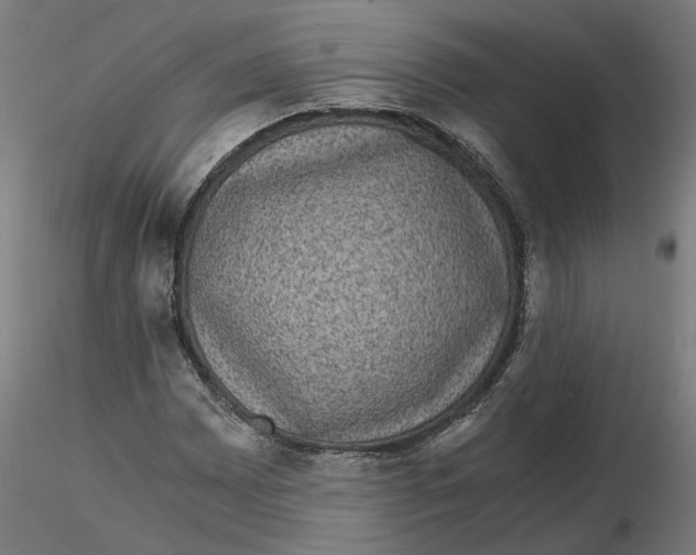 X0000116761065201001071150