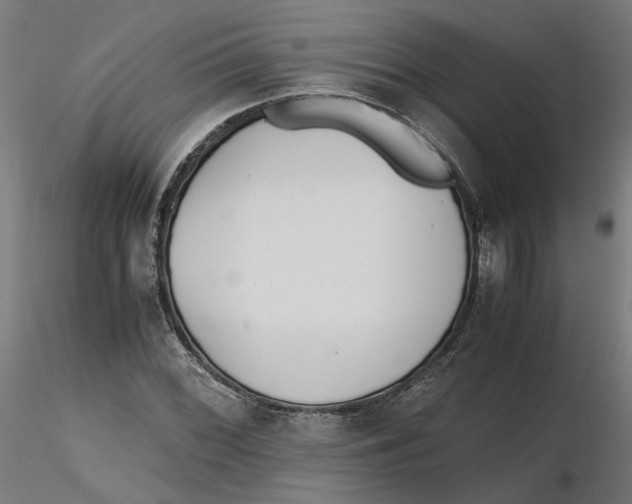 X0000116761068201001071150