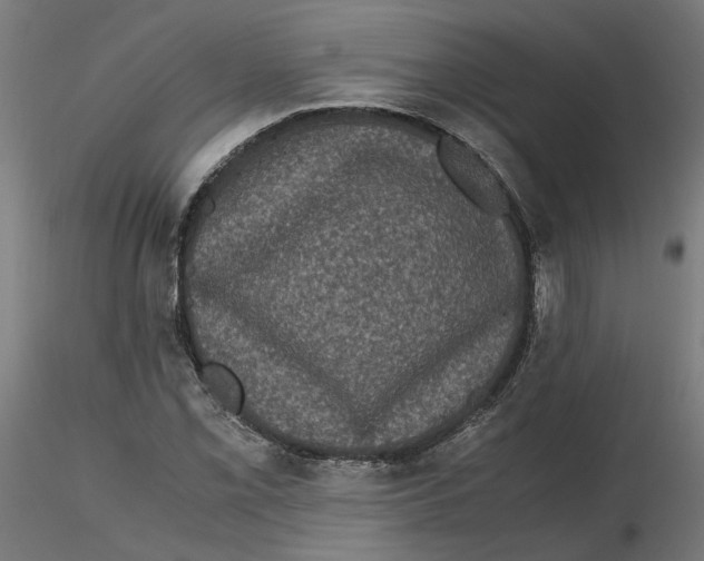 X0000116761069201001071150