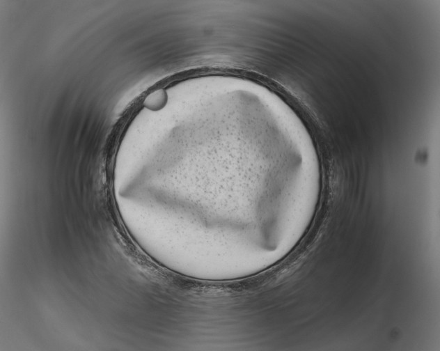 X0000116761070201001071150