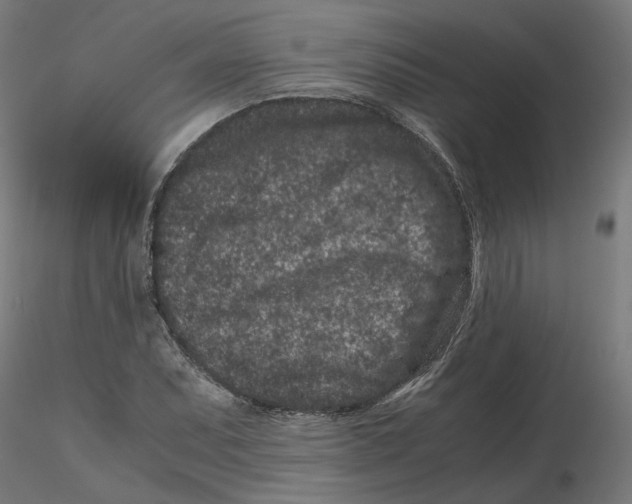 X0000116761071201001071150