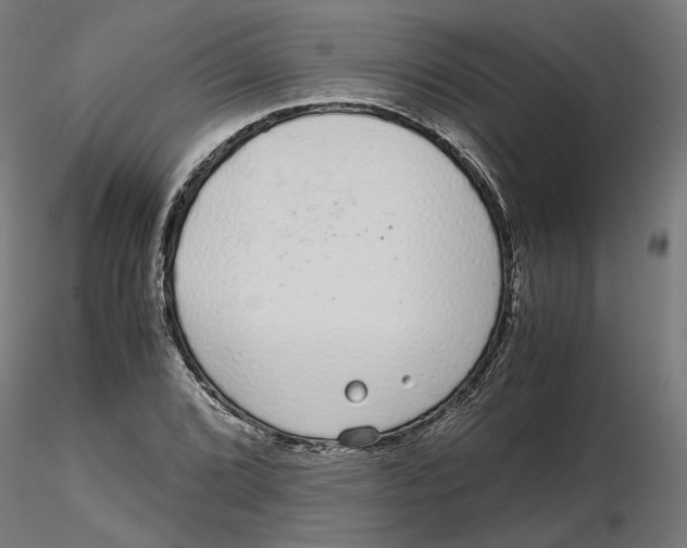 X0000116761072201001071150