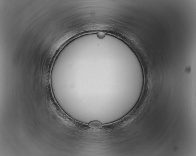 X0000116761073201001071150