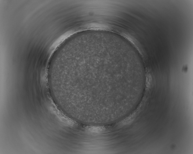 X0000116761074201001071150