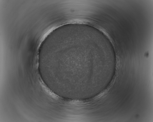 X0000116761075201001071150