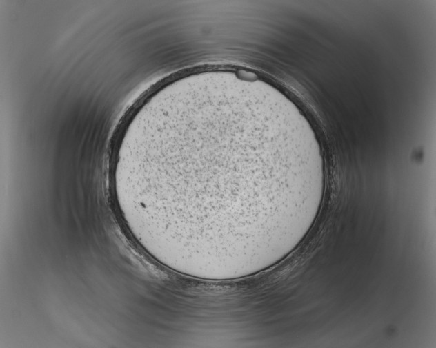 X0000116761076201001071150