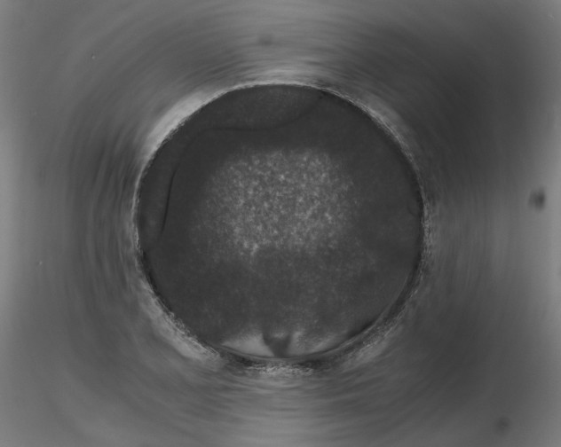 X0000116761077201001071150