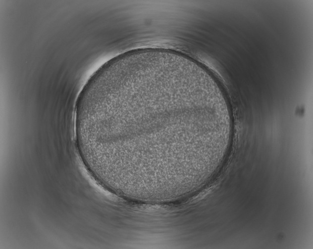 X0000116761079201001071150