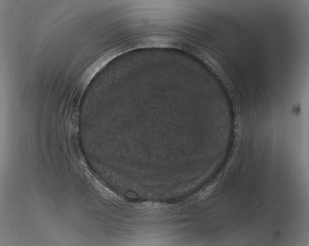 X0000116761081201001071150