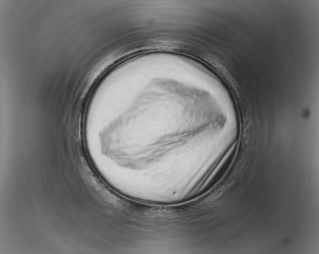 X0000116761083201001071150