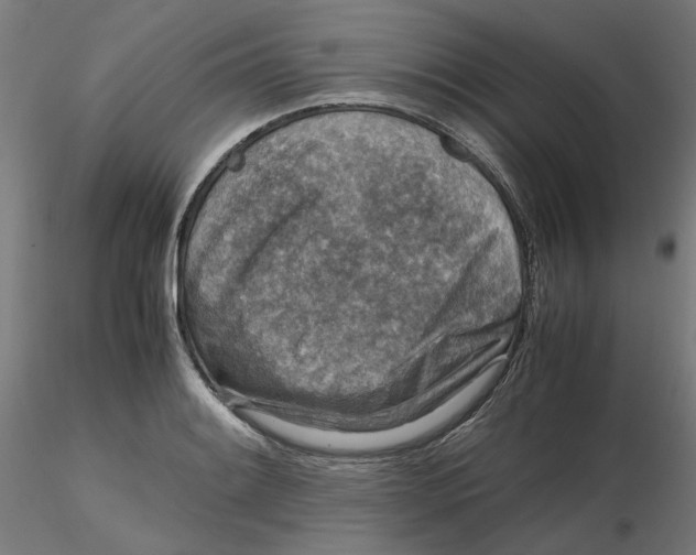 X0000116761084201001071150