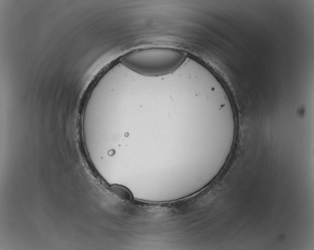 X0000116761085201001071150