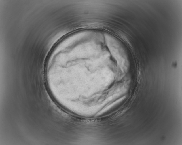 X0000116761087201001071150