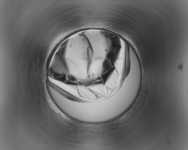 X0000116761088201001071150