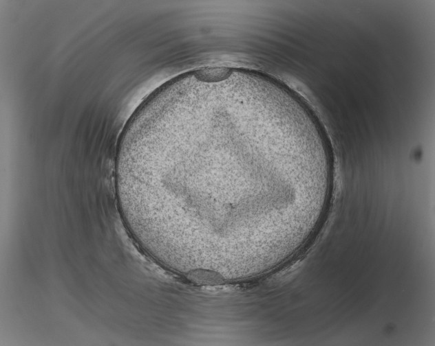 X0000116761089201001071150