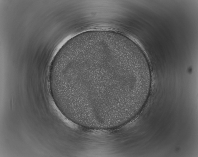 X0000116761091201001071150