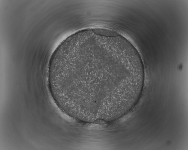 X0000116761093201001071150