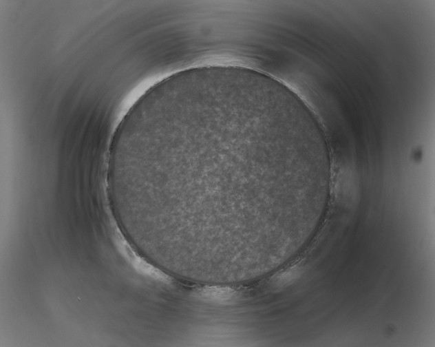 X0000116761094201001071150