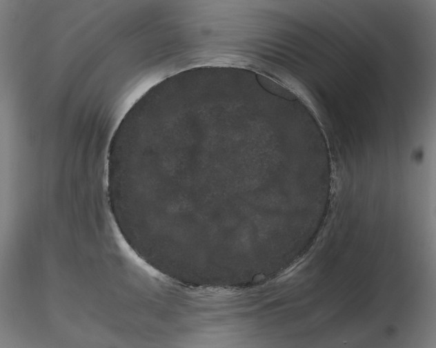 X0000116761095201001071150