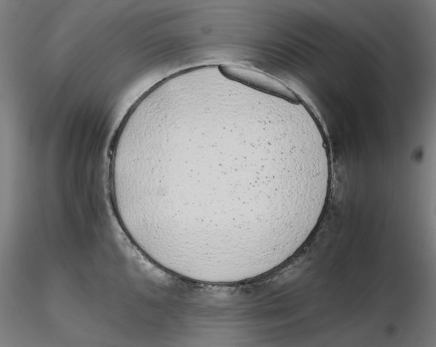 X0000116761096201001071150