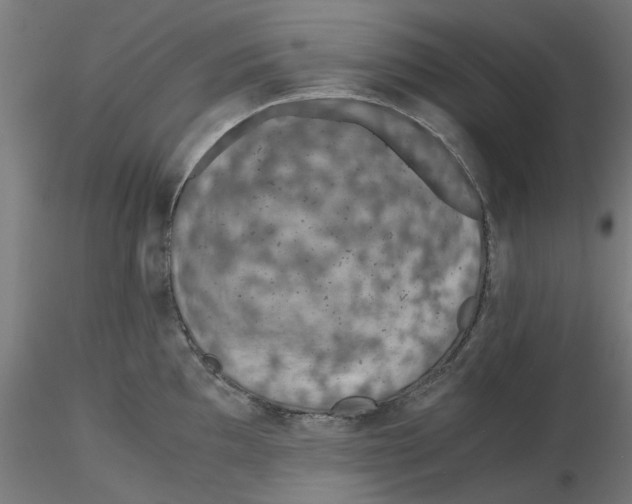 X0000116761097201001071150