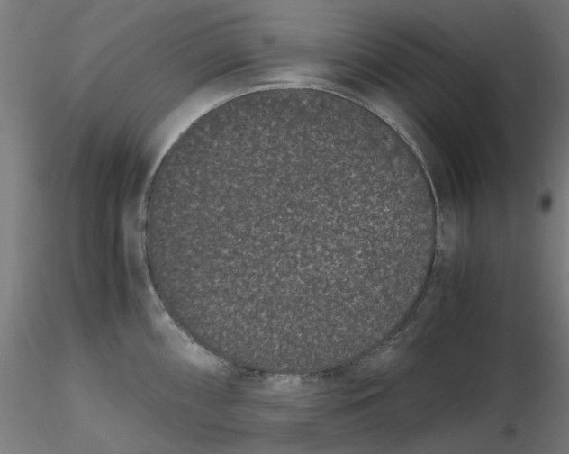 X0000116761098201001071150