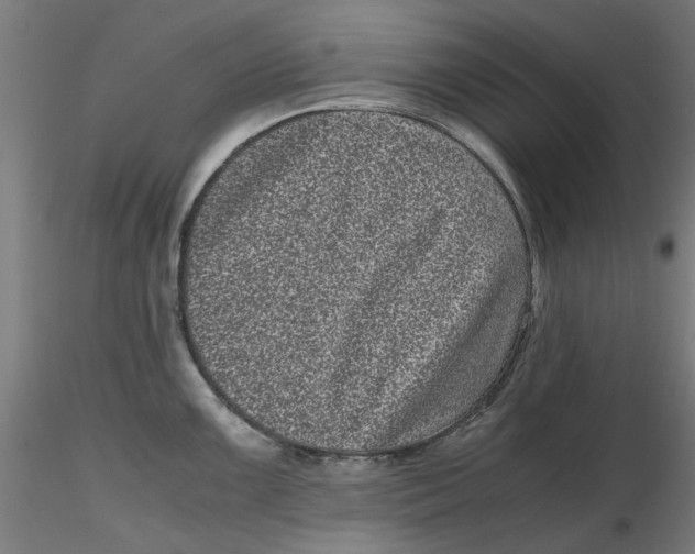 X0000116761099201001071150