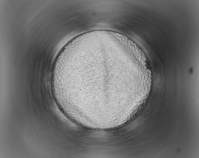 X0000116761100201001071150