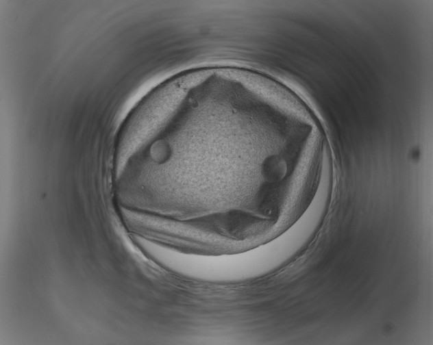 X0000116761101201001071150