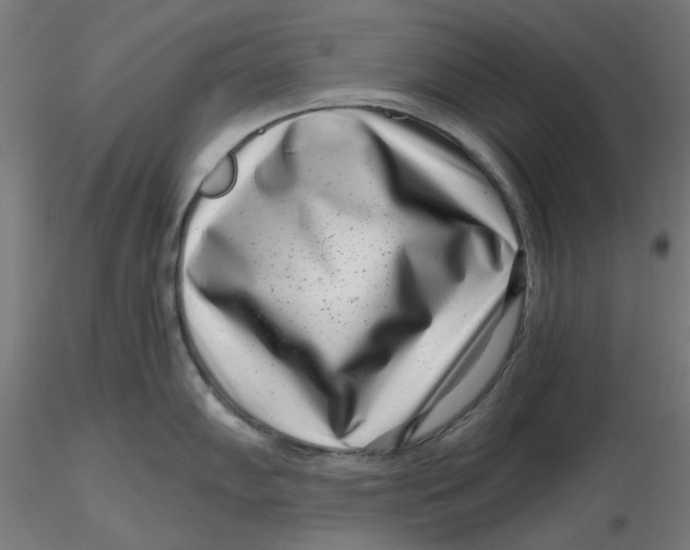 X0000116761102201001071150