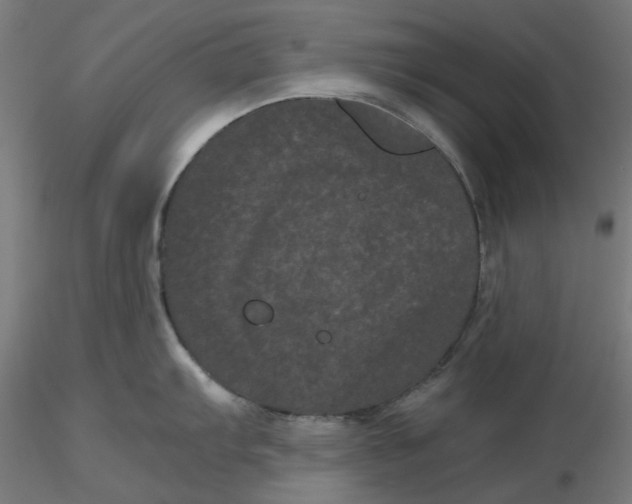 X0000116761103201001071150