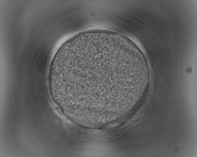 X0000116761104201001071150