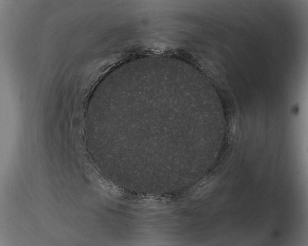 X0000116761105201001071149