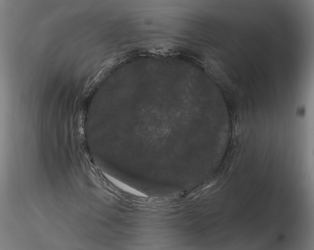 X0000116761106201001071149