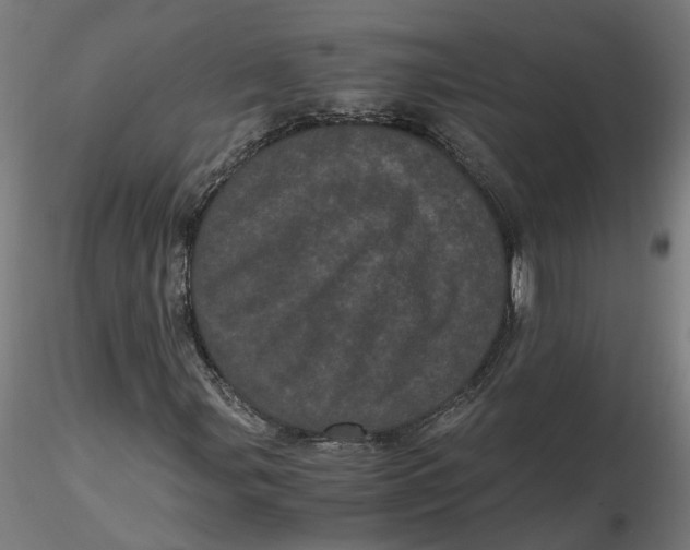 X0000116761107201001071149