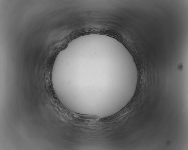 X0000116761109201001071149