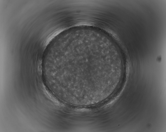 X0000116761113201001071149